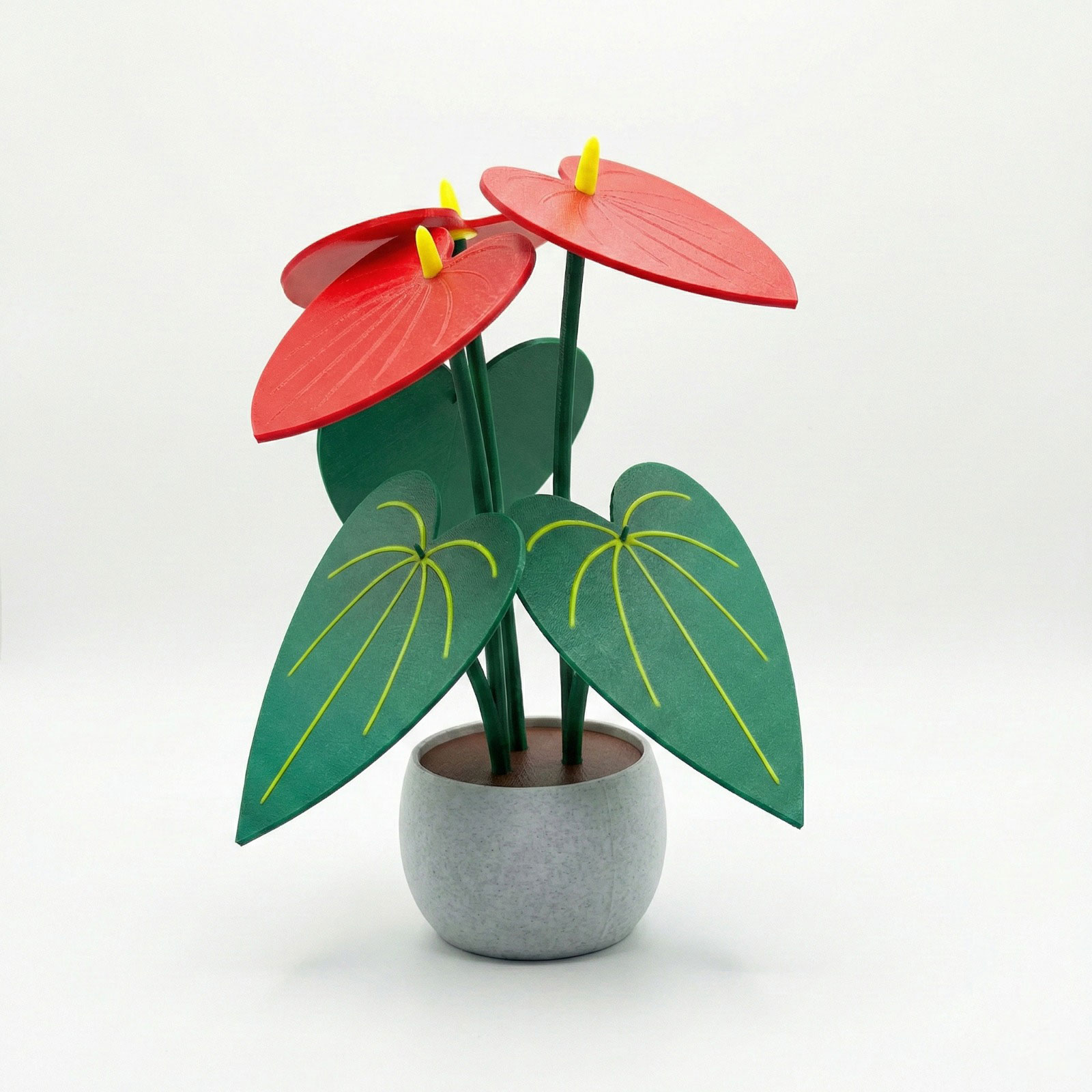 Portavasos Anturio Set X6 Unidades De Mesa