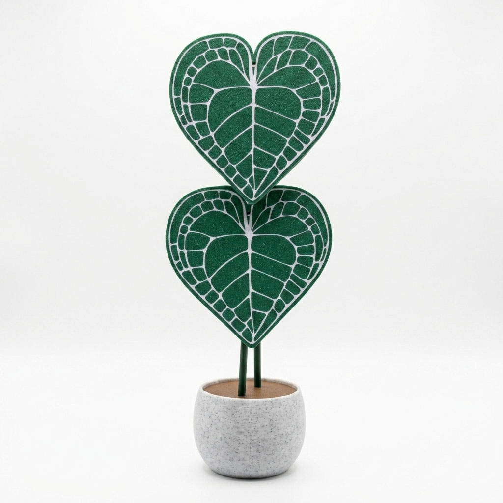 Portavasos Anturio Planta- Edición Colección Set X4